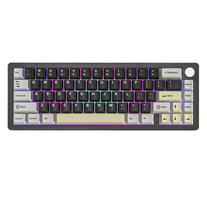 AL66 Wireless Mechanical Keyboard, CNC Aluminum 65% Knob Keyboards, Hot Swappable Pre-Lubed Switch, Customrgb for Win/Mac