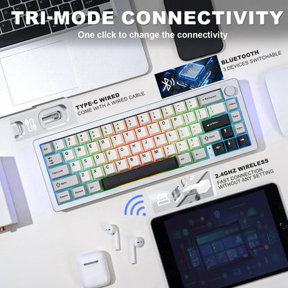 AL66 Wireless Mechanical Keyboard, CNC Aluminum 65% Knob Keyboards, Hot Swappable Pre-Lubed Switch, Customrgb for Win/Mac