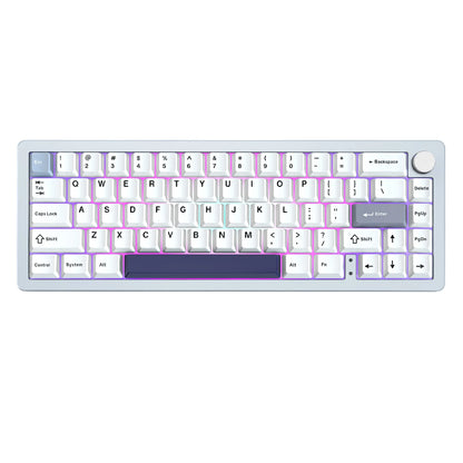 AL66 Wireless Mechanical Keyboard, CNC Aluminum 65% Knob Keyboards, Hot Swappable Pre-Lubed Switch, Customrgb for Win/Mac
